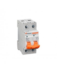 Roker Rxt0263  Termica Din Bip  63a. 2